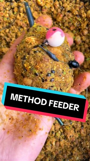 Carpfishing: Techniques and Tips for Enthusiasts