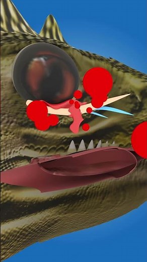 This Lizard's WILD Defense Mechanism Will SHOCK You! (Shooting Blood from Their Eyes)