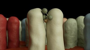 Bioplex Trace Minerals - Animation - Short - TECHNOLOGIES - Alltech Showcase