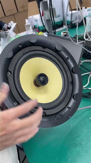 Lucky Tone SM 880 Ceiling Speaker Test | Sound Performance & Quality Check