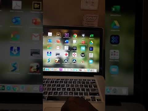 Audient Evo 4 low output problem