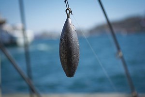 How Fast Will A Lead Fishing Weight Or Jig Sink In Water? - Begin To Fish