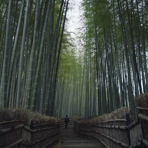 11K views · 29 reactions | Can a robot have a soul? Meet ERICA...