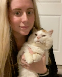 Tonight is my last night with Gus. He is going home tomorrow morning. Gus has been with me exactly 60 days! Gus is a lucky one. We’ve all come to know and love his sweet personality since the day I trapped him at Soap Lake. There are so many more Gus’s in the world and I wish this was the outcome for all of them. If Gus has touched your heart, please donate or get involved with local TNR groups helping prevent more kittens born outside and helping the community cats. I’ve spent so many days with