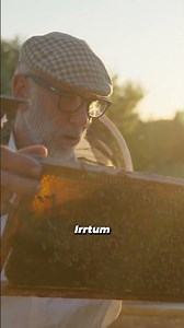 Werden Bienen ausgebeutet?! 🛑 Imker Rainer wehrt sich gegen Vegan-Mythos! 🐝💥