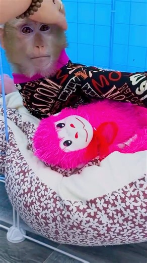 Kaka made mom worried when her put a strange object in her mouth #Monkeykaka | Kaka Page