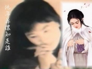 鳳飛飛好歌MV - 《葬花》