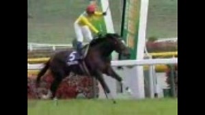 EX-F1で安田記念（G1）を撮ってみた