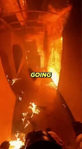 Dog Leads Firefighter In A Burning House To Save Puppies!