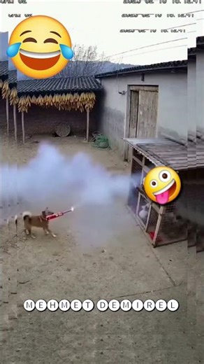 Alien Dog Throws Fireworks in Chicken Coop 🚀🐔