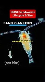 The Complete Lifecycle of A Sandworm #Dune