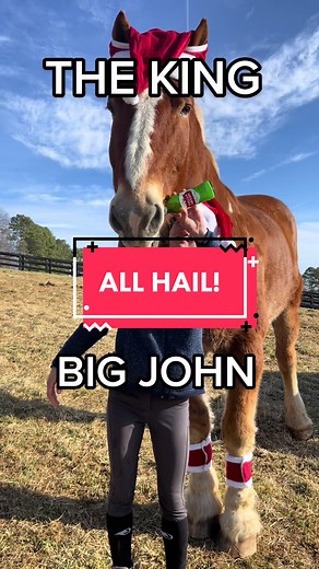 Big John: The King of Horsetok in Charlottesville, VA