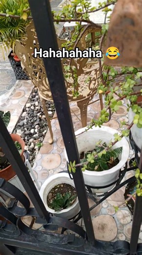 Ice cream door bell yarn? 😁 | Bon