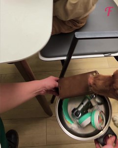 A clever idea made everyone cherish their time together | Tips & Tricks