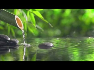 【100%広告なし 落ち着くBGM】 自然の音とともに音楽をリラックス バンブーウォーターファウンテン Relaxing Music + Bamboo Water Fountain Healing