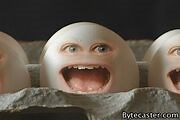 Scared Eggs