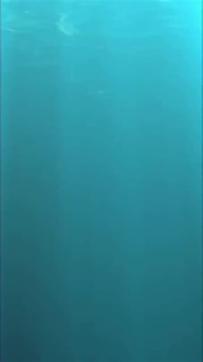 5.1K views · 61 reactions | What’s your favorite sign? #ASL #signlanguage #expo | Signs For Humanity | Facebook