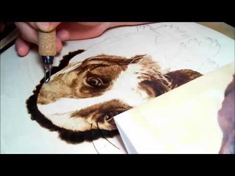 Pyrography art br jean bouick- animal hair (basset hound,dog)-2 times faster than the original speed