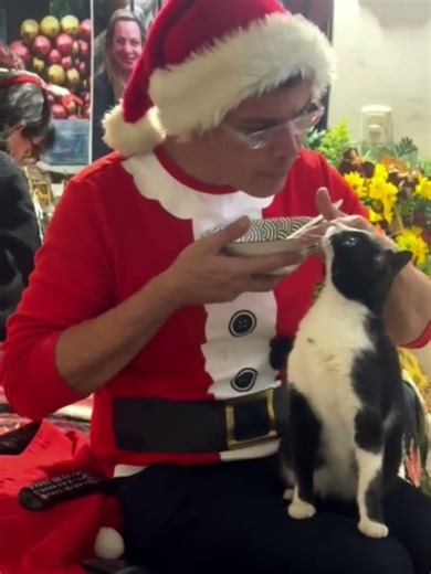 ​Santa’s Best Little Helper #christmas #xmas #music #santa