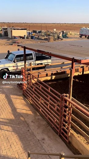 Exploring Farm Life in Botswana with Maotomabedi Farm TikToks