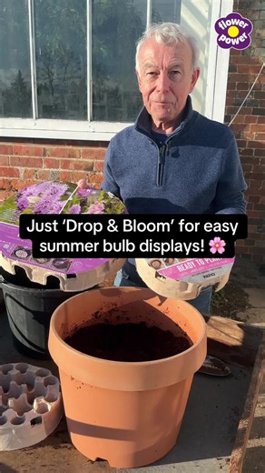 Effortless Summer Bulb Displays with Drop & Bloom