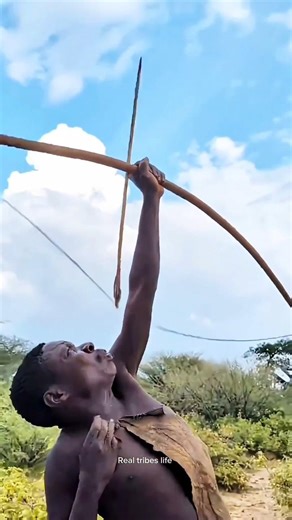The_Bushmen_of_the_Hadzabe_tribe_🏹_have_been_using_handmade_bows_and_arrows_for_thousands_of_years