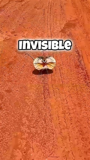324K views · 15K reactions | Invisible animals that you will not find #animals #facts #shorts | Clips AI | Facebook