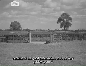 1.3M views · 24K reactions | British soldiers give a demonstration of good fieldcraft in this 1943 British film on camouflage techniques. Find the full film on our website: bit.ly/4gYq9ek Film: IWM DRA 476 | Imperial War Museum London | Facebook