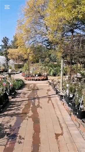 Willow Feather Farm #farms