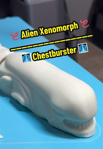 🩻🪱 Xenomorph Chestburster — Alien Movies 🪱🩻 #aliens #xenomorph #chestburster #printtok #3dprinting