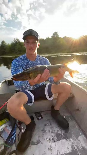 CAUGHT THIS AMAZING LOOKING PICKEREL!! #fishing #pondfishing #gorgeous #shorts #reels | Wild Facts | Facebook