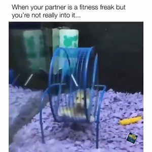 Latin Hip Hop & Throwbacks on Reels