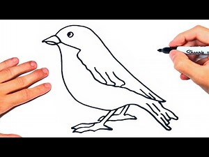 Como DIBUJAR un PAJARITO | Dibujo de PÁJARO con Lápiz