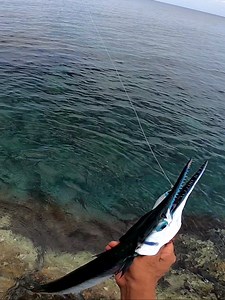 Lagi daw may talakitok sa spot na to #tandolfishing #fishing #viralvideoシ | Tandol Fishing