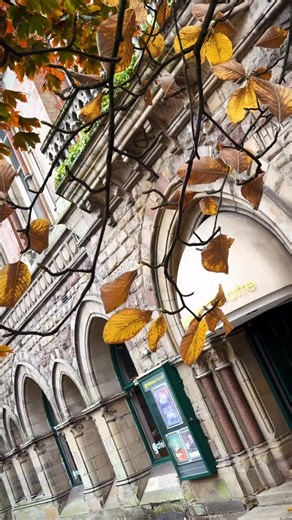 ☕✨ Welcome to The Gatehouse Theatre Café! ✨☕ We’re open Monday to Friday, 10am–2pm, serving up freshly brewed tea & coffee, delicious cakes, paninis, and so much more. 😋 And the best part? We’re dog friendly! 🐶 So bring your four-legged friend along for a treat and a cosy spot by your side. Looking for something a little extra? Join us for our Classic Afternoon Films in The Met on selected Thursdays! 🎬 Enjoy a feel-good film, coffee & cake for just £6, or £10 for two – the perfect afternoon o