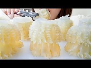 【SUBTITLED】JELLYFISH CANNON BALL【ASMR/EATINGSOUNDS】