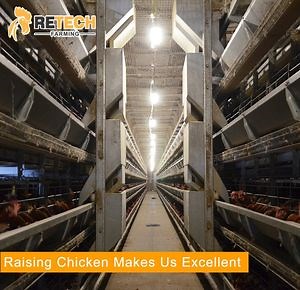 [Hot Item] brand poultry battery cages laying hens price