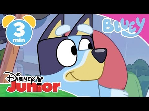 Bluey | Bluey The Taxi Driver 🚕 | Disney Kids