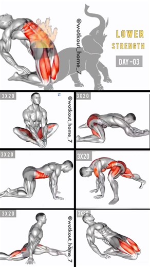 Effective Pelvic Floor Exercises for Men