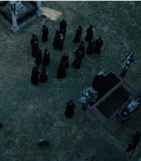 scp jcqscenes | #francescabridgerton #bridgerton #bridgertonedit | bridgerton season 4