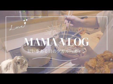 Housewife vlog🐰 Cooking dinner┊︎ Newcomer Moko-chan🐰 Evening routine on a day with lessons🌆