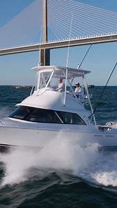 4K views · 52 reactions | Check out the Bertram 35FB, a modern take on a Bertram classic. Visit @bertram_yachts to learn more. #Bertram #Bertram35FB | Boats Gone Wild | Facebook