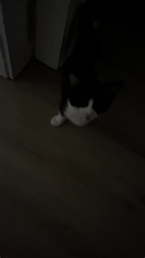 Letting baby Benny out of his room in the morning 🥰