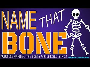 NAME That BONE! ☠️Skeletal System Unit or Halloween Warm Up Cool Down Brain Break!