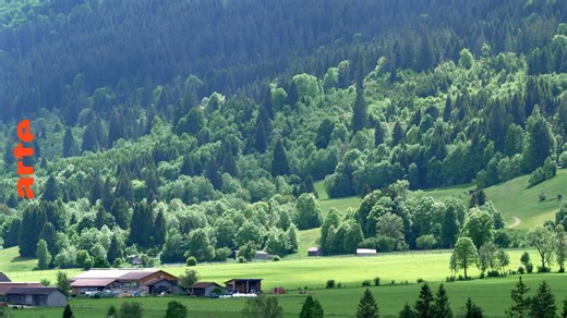 Invitation au voyage - Regarder le documentaire complet