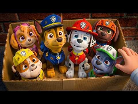 Paw Patrol Ultimate Rescue | THE SAD STORY of Paw Patrol – The First Day of the Pups | Rainbow 3