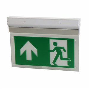 [Hot Item] High Quality Emergency Light with Auto Self-Test Function