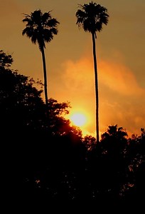 You loved our video of CSUCI during the day... now it's time to let us know how you like it at night! It's a special place day or night - check out this evening tour of campus! 🐬 | CSU Channel Islands