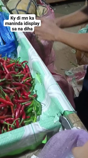 Akong future seafairer..seaferare... Seaferear...ay basta oi....Padayon sa imong pangandoy...bahala nas batman...laban..💪💪💪 | Tee Rye