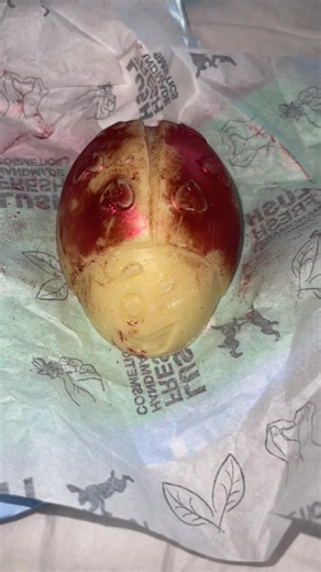 Discover the Newest Scrubee from Lush Cosmetics